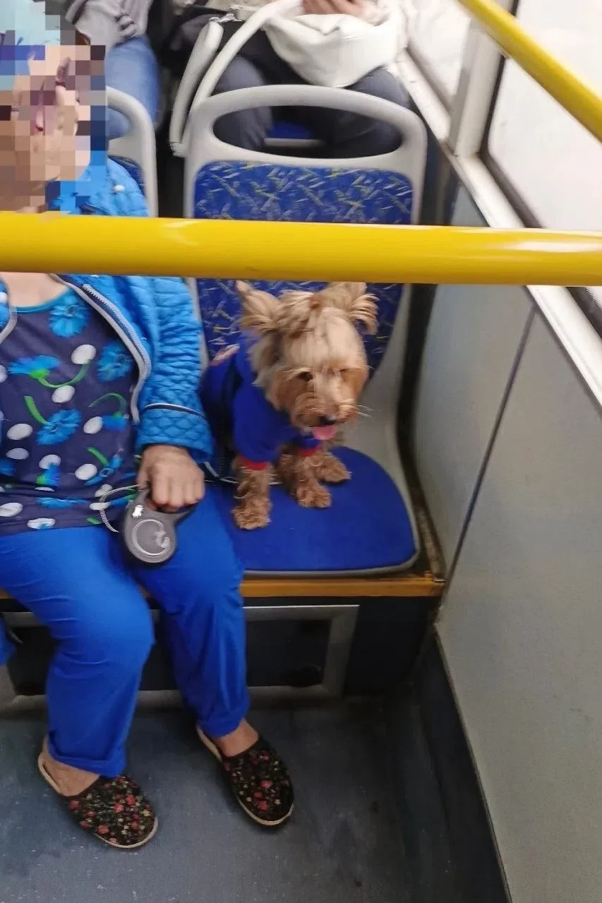 От подписчика