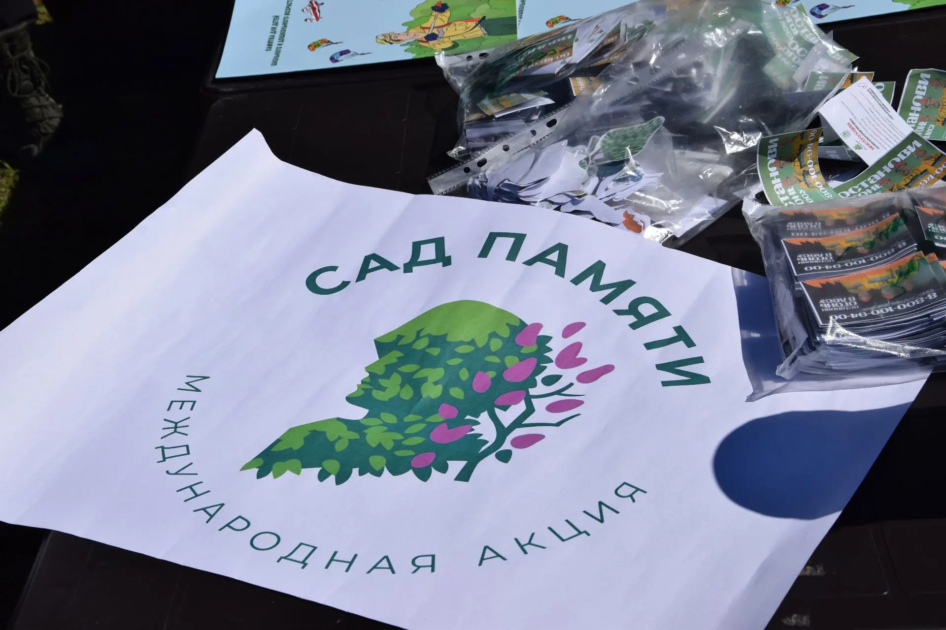 15 мая по улице Хвойной в городе Асино состоялось торжественное мероприятие «Сад памяти...