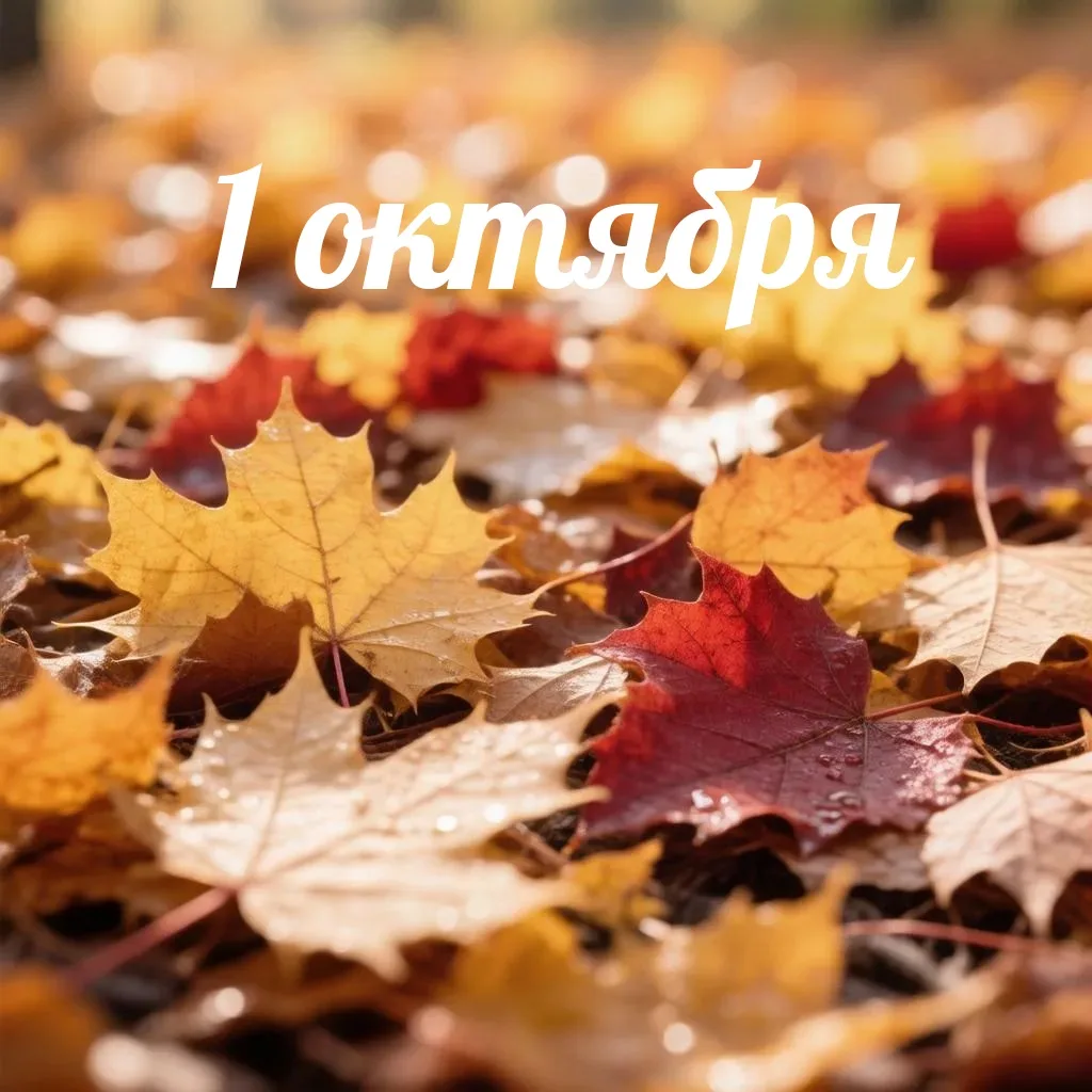 Сегодня мы говорим спасибо тем, кто построил наш мир ❤️