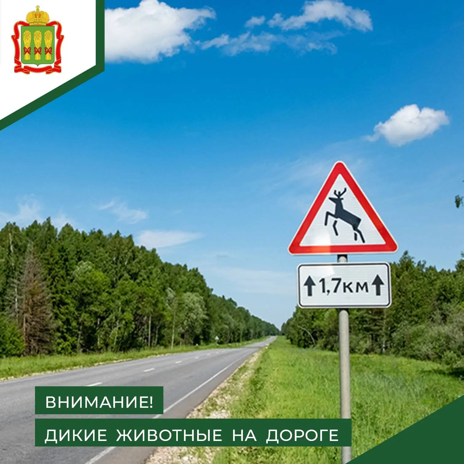 🌲🫎 С наступлением теплой погоды активизируется жизнь в лесных массивах, и все чаще ди...