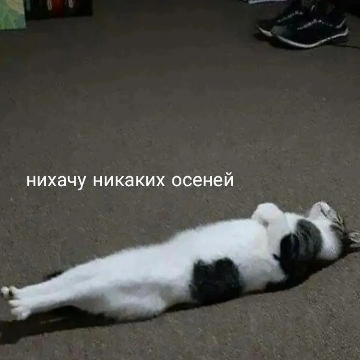 Когда серость за окном портит настроение, есть один проверенный способ вернуть вкус к ж...