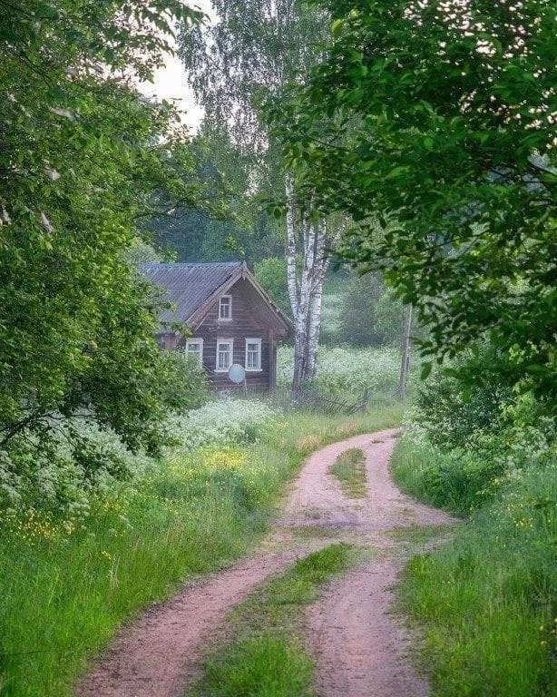 Лето в Архангельской. Северное лето короткое, но яркое! И ощущается совсем по-другому, ...