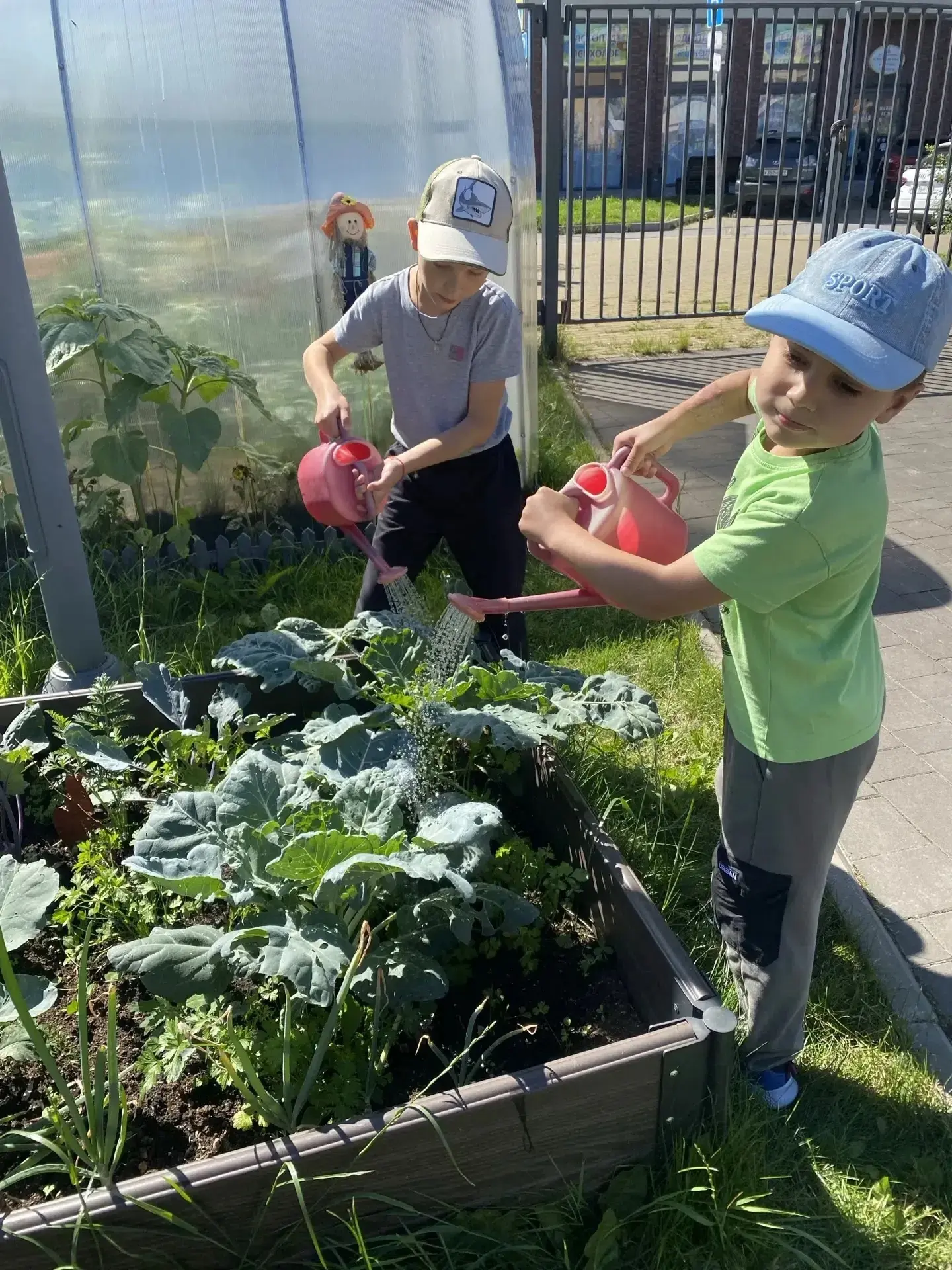 Витамины со своей грядки! ☀️🥒