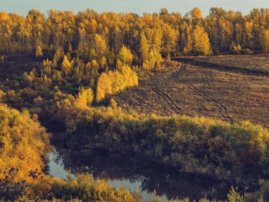 #УтреннийФакт