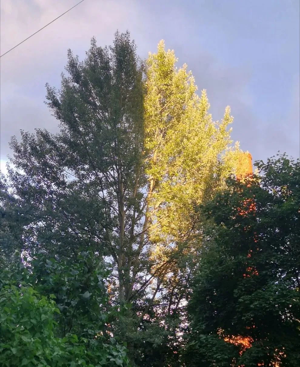 Главное в жизни — это баланс! 😎