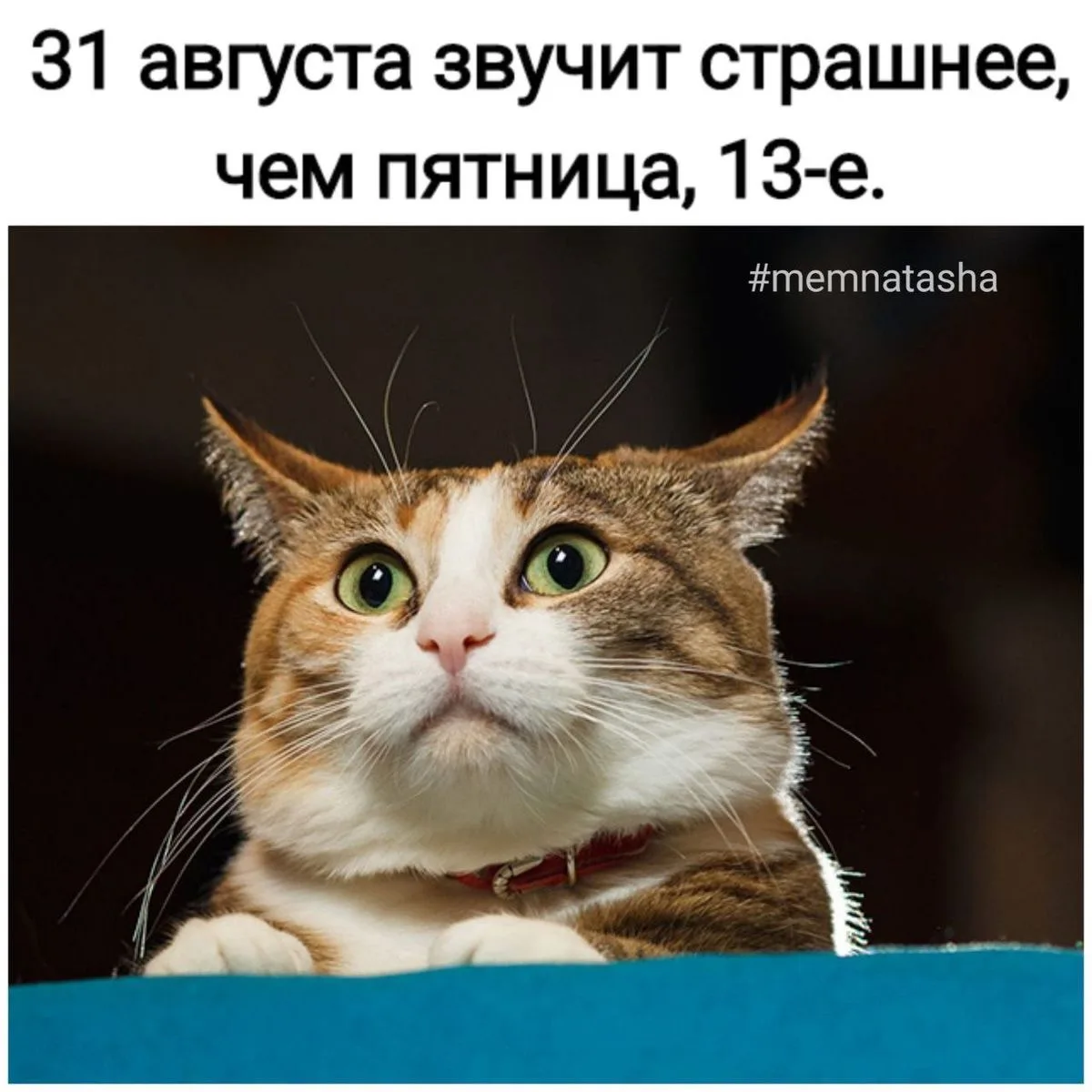 ☀️ Доброе утро!