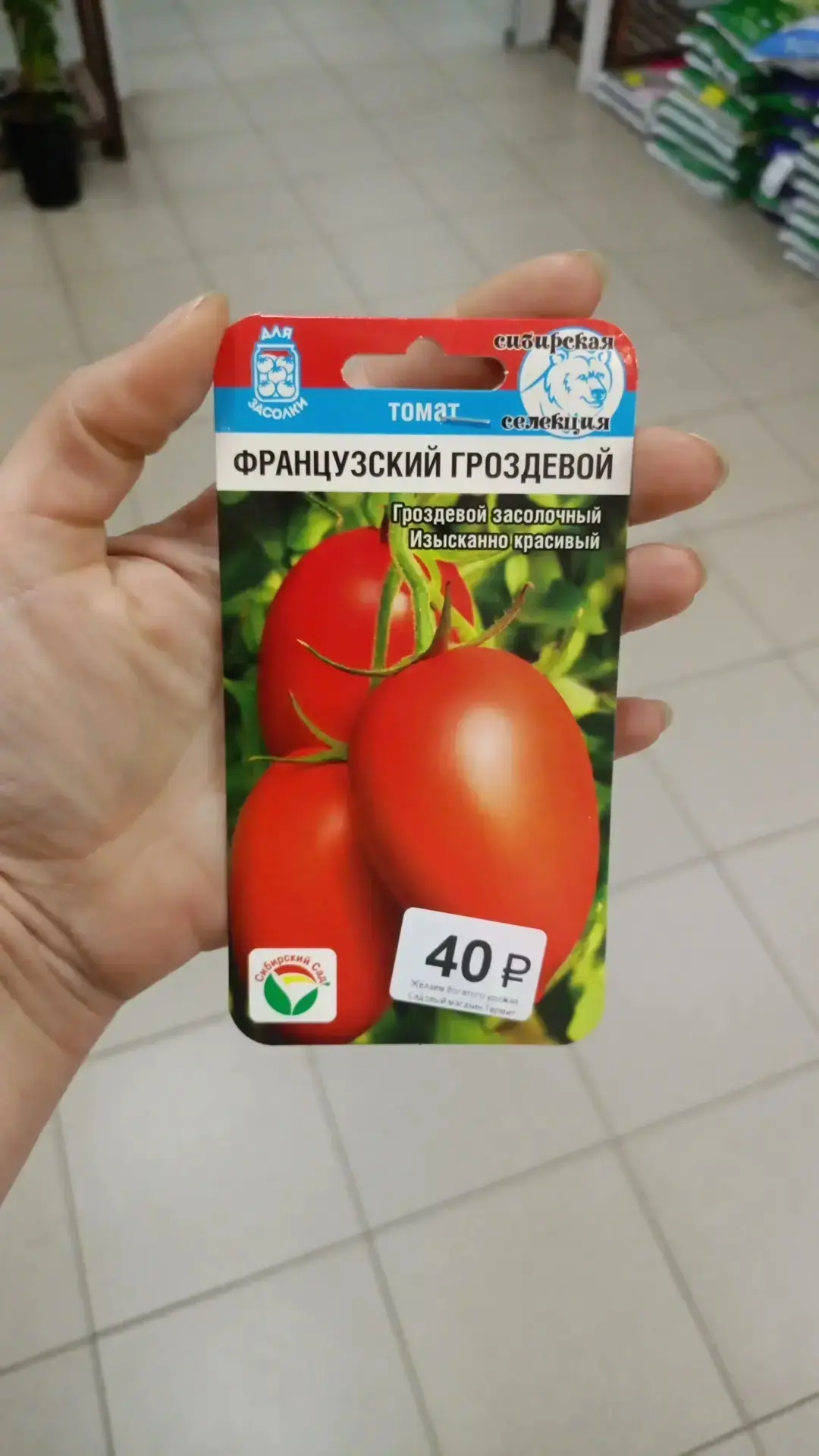 «Термит»: Томат «Французский гроздевой» — идеален для засолки! 🍅🥫
