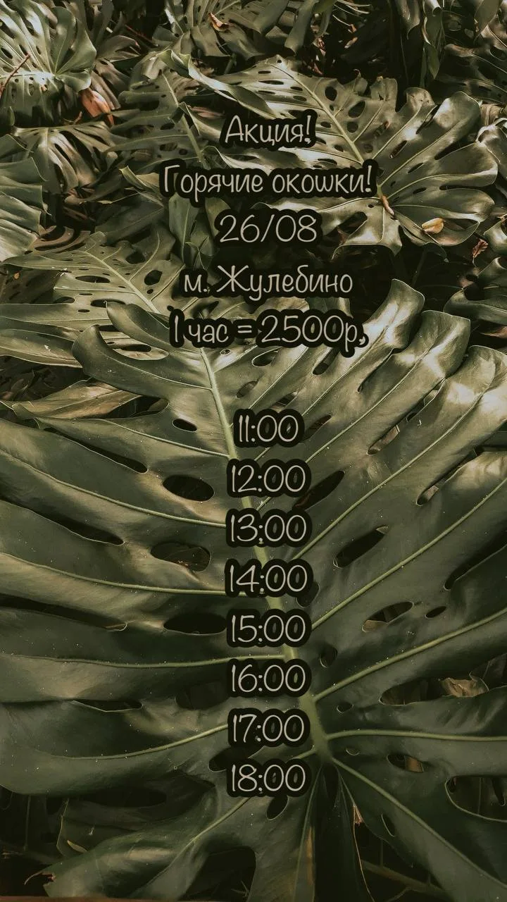 🌿Горячие окошки🌿