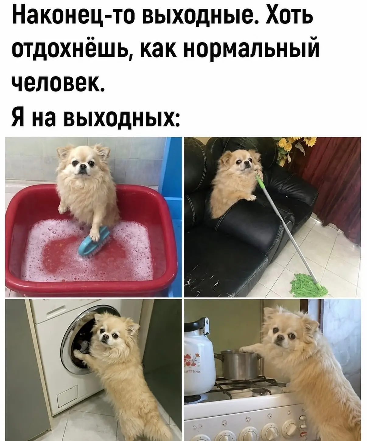 😅