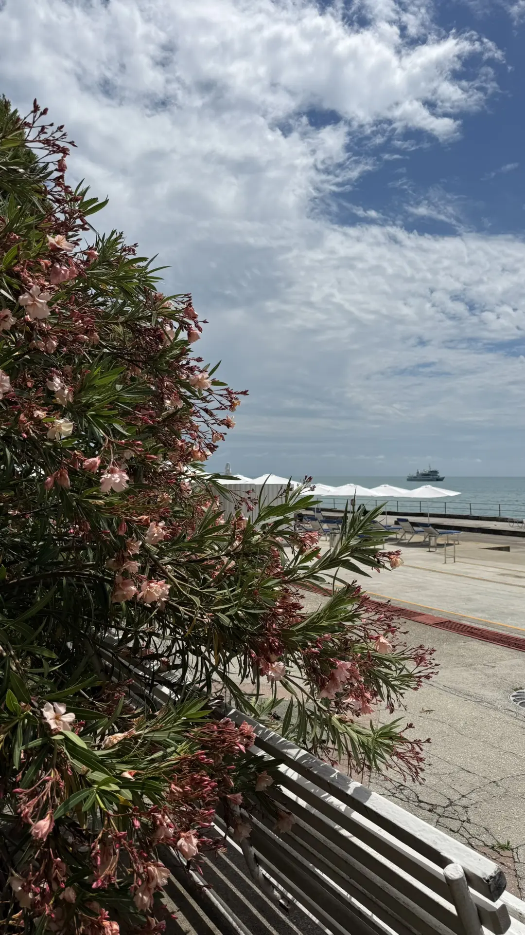 ☀️💙🛳️