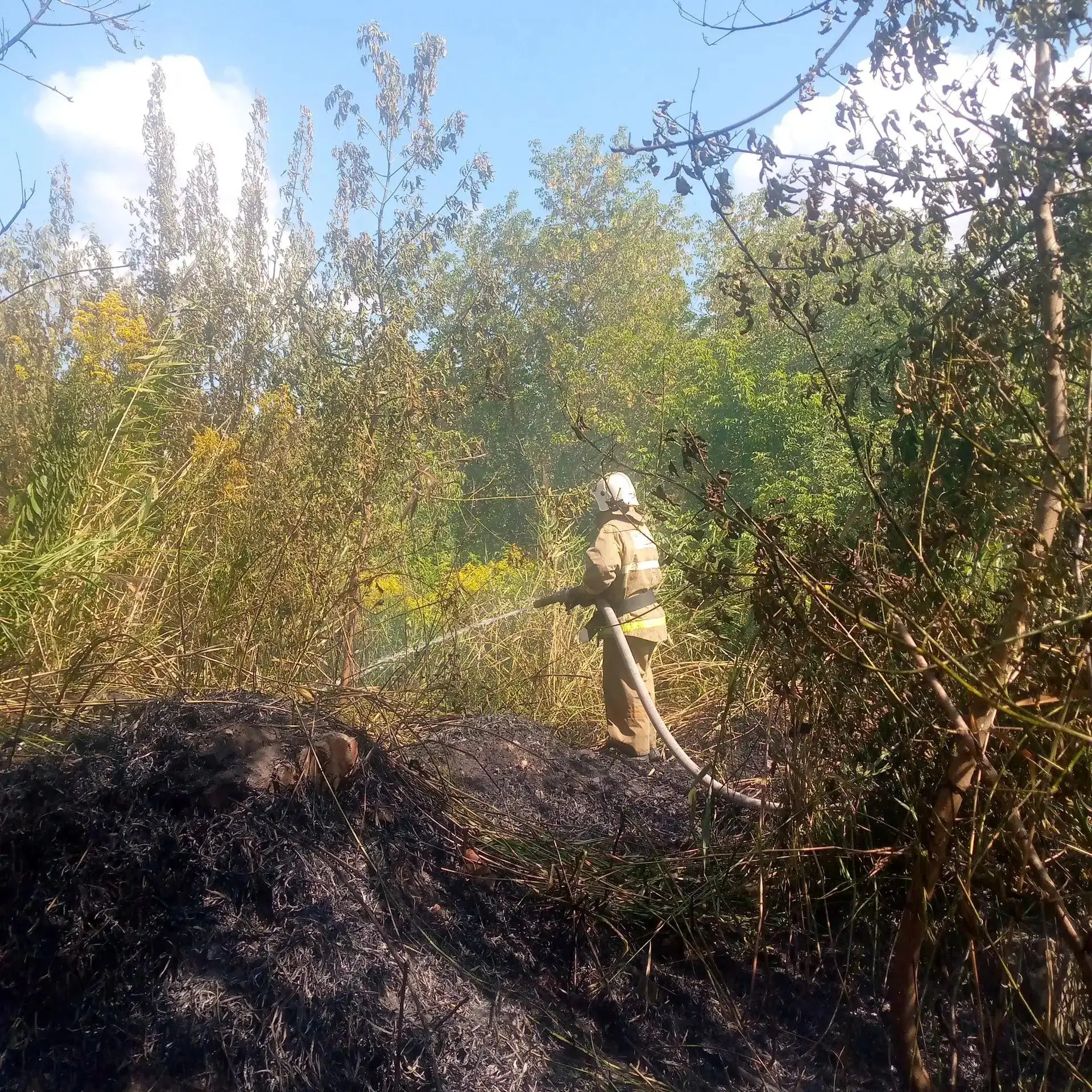 Огнеборцы ПЧ  Железногорского  района на тушении сухостоя
