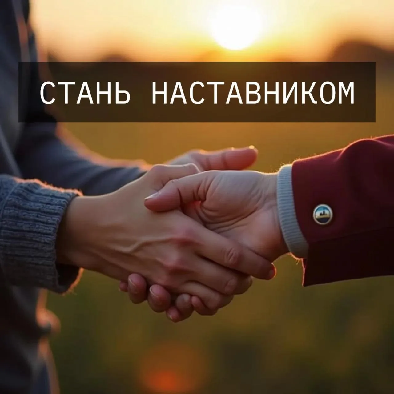 В России формируют реестр наставников, привлекаемых для осуществления индивидуальной пр...