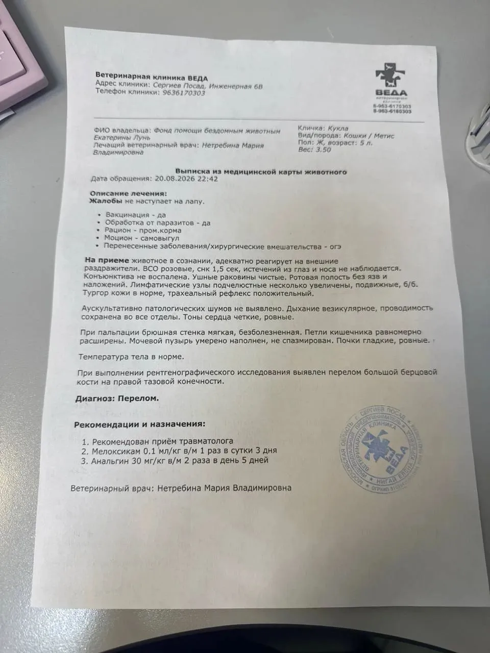Видео