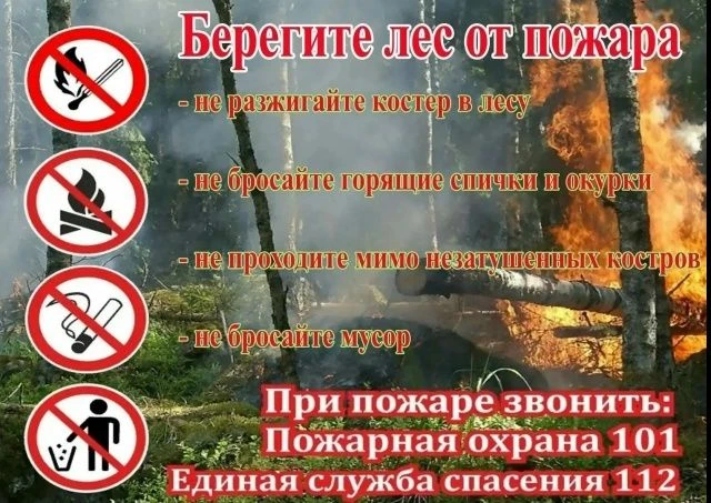 Профилактика лесных пожаров: как не допустить беду