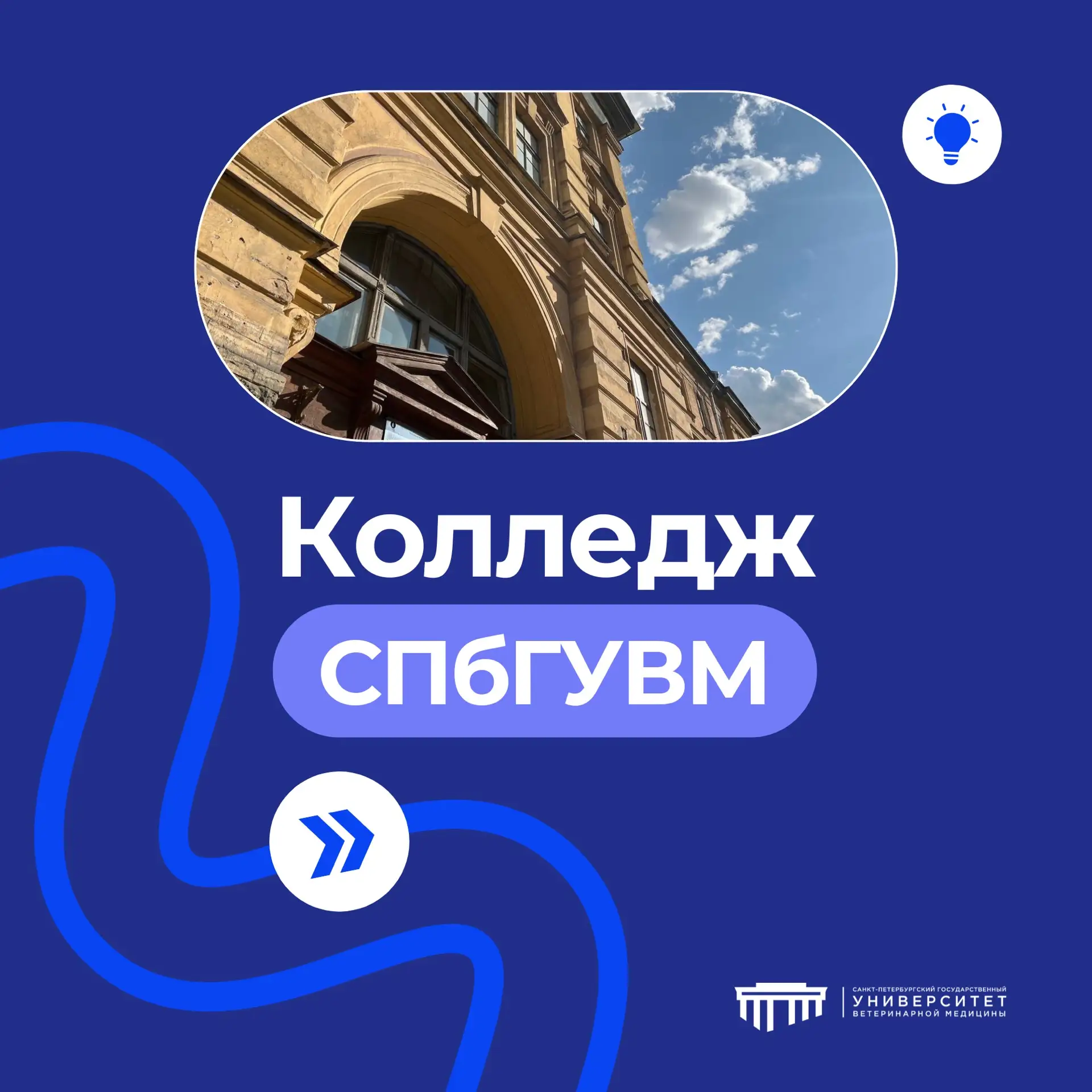 🎓 Колледж #СПбГУВМ приглашает на обучение по специальности
36.02.01 «Ветеринария» 

Квалификация вы
