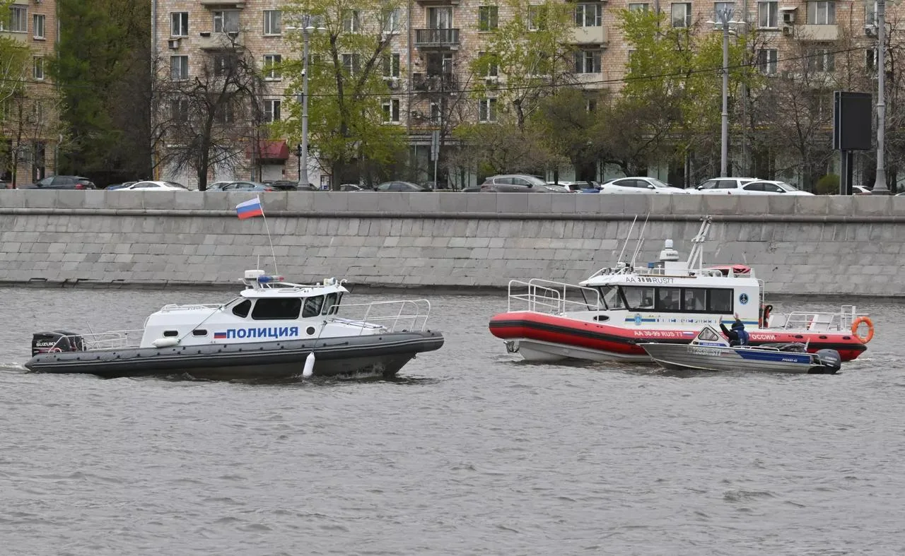 В Москве спасли кота, который прыгнул в Москву-реку, испугавшись машины