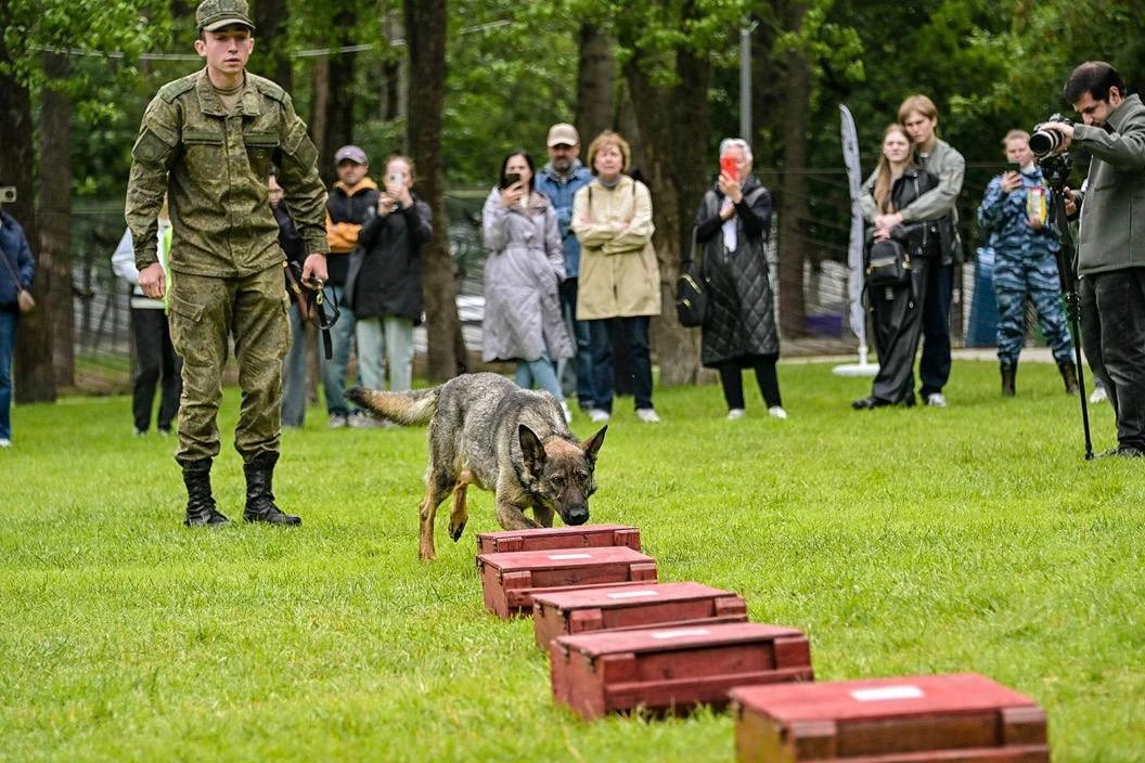 🐕 В честь Дня кинолога в столице пройдет фестиваль «Собака — друг на службе Отечеству»

21 июня, 11