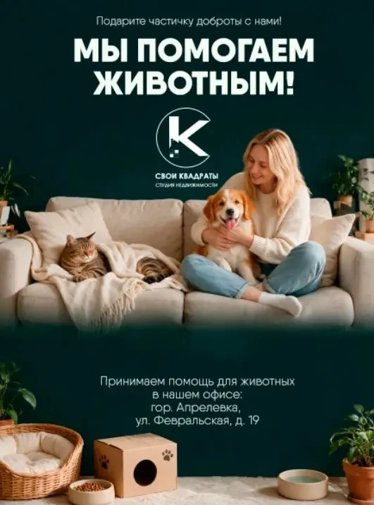 Дом нужен каждому: давайте помогать хвостатым вместе! 🐾🏠
