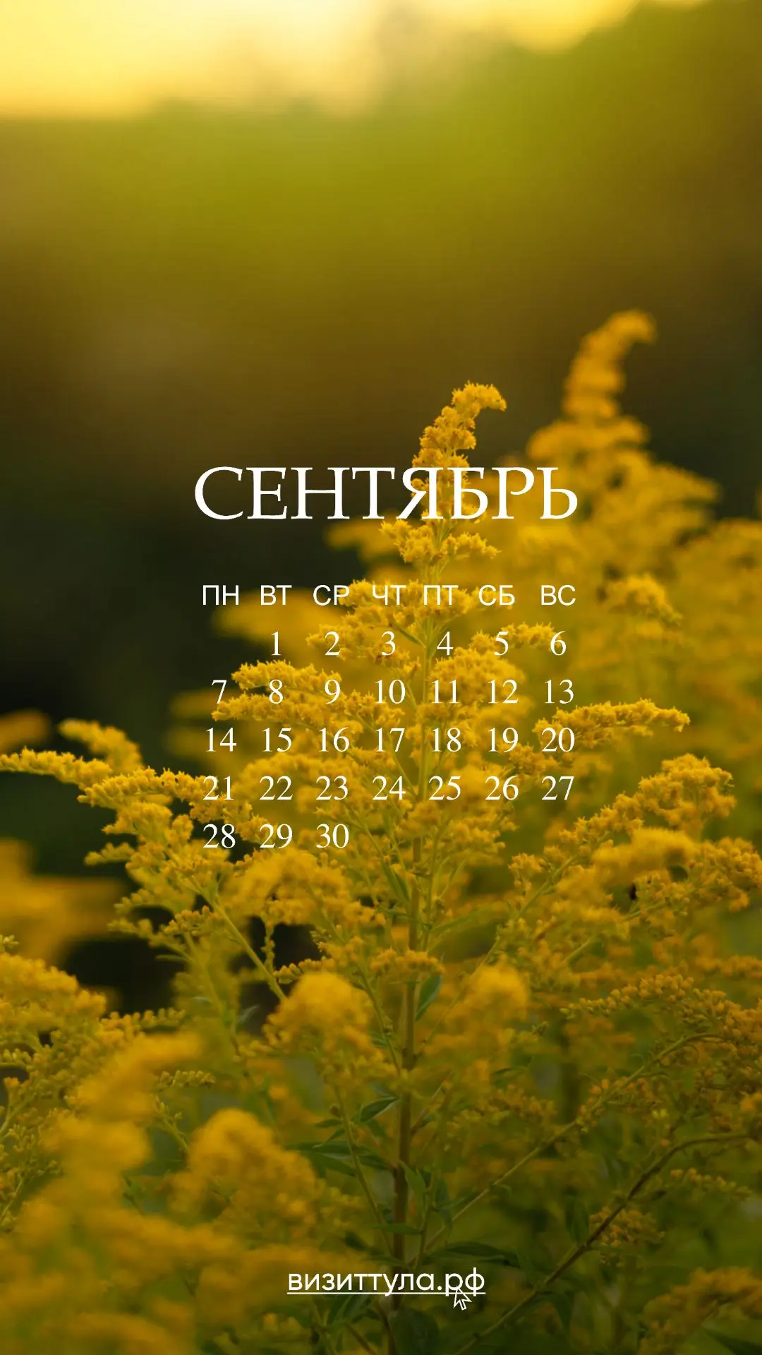Ну, здравствуй, очей очарованье!