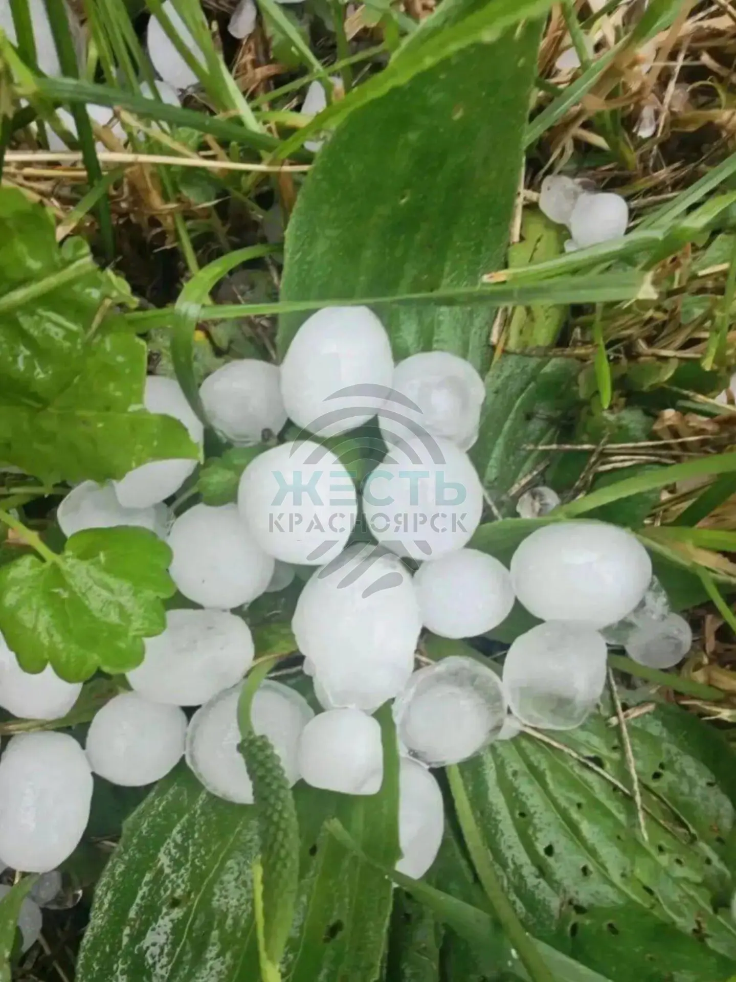🌧Накануне Емельяновский округ засыпало градом