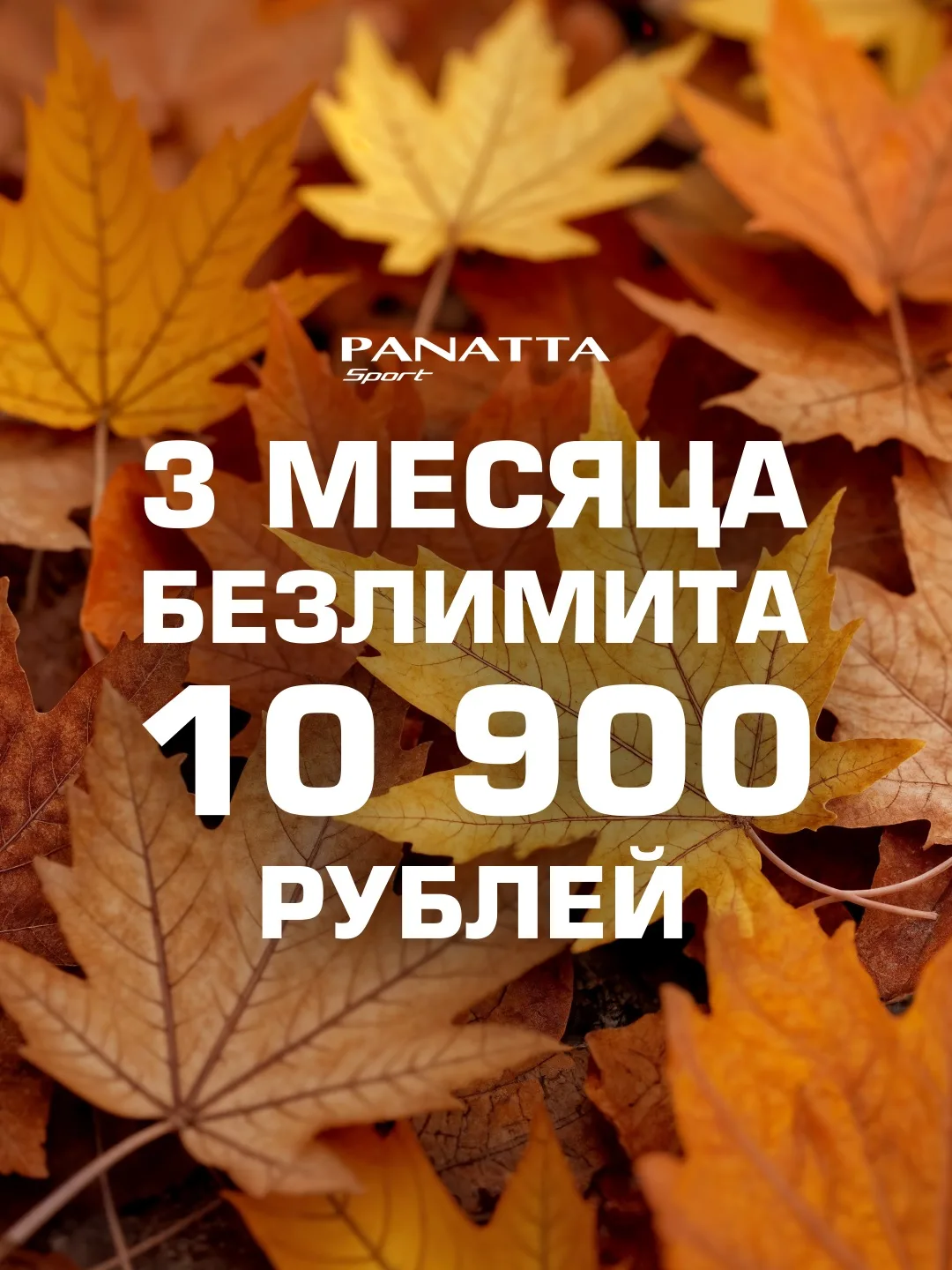 🔥 3 месяца безлимита всего за 10 900 ₽!