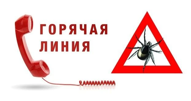 с 27 апреля по 10 мая 2026 года в Управлении Роспотребнадзора по Томской области будет работать «гор