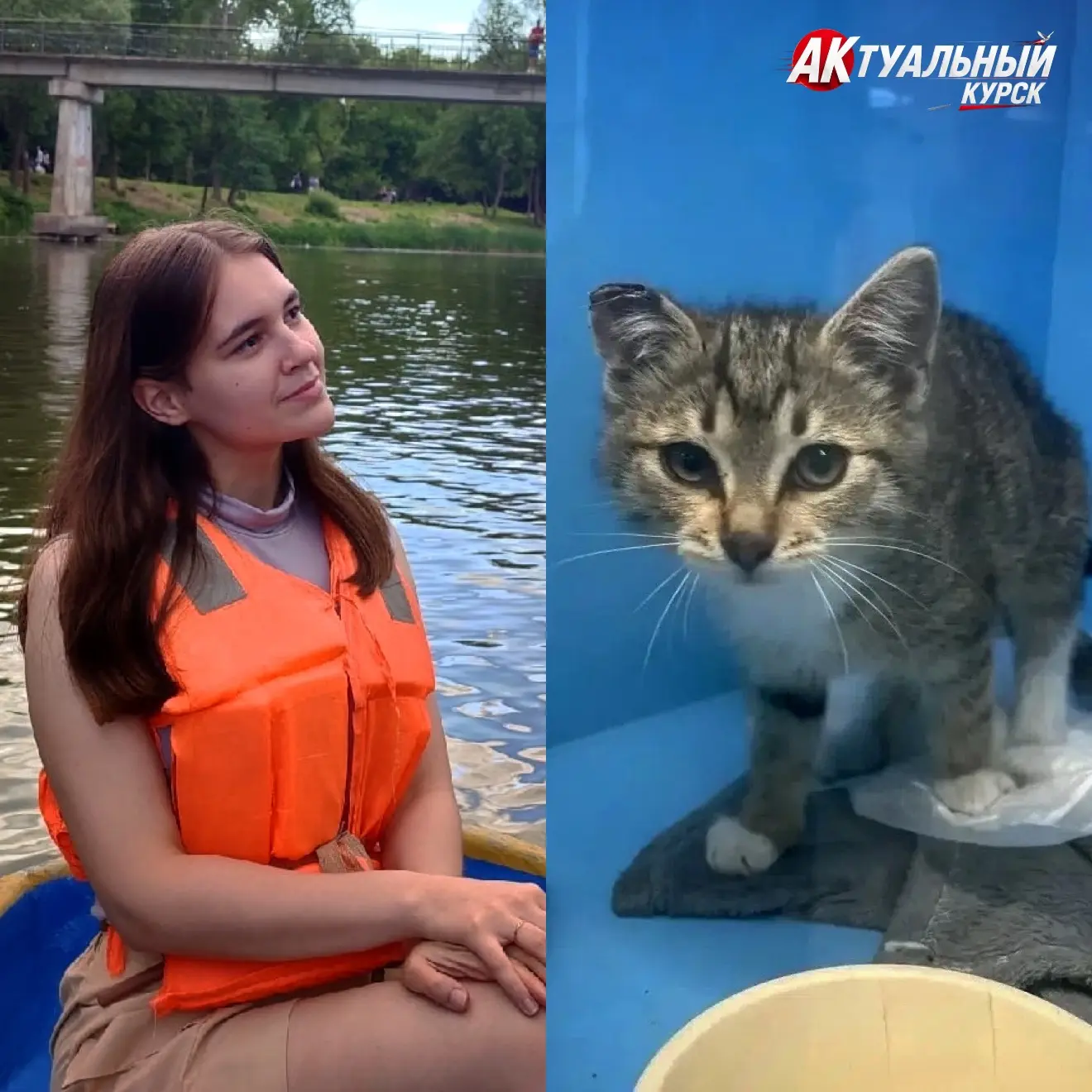Студентка из Курска спасла покалеченного котёнка на последние деньги и ищет для него дом 

Вечерняя 