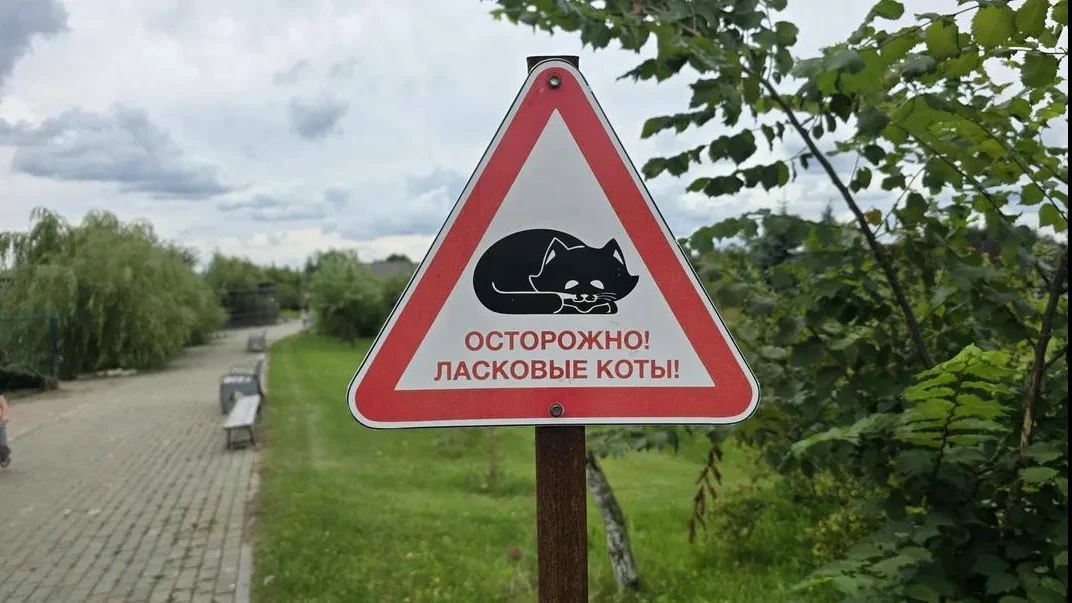 🐱 Под Коломной откроют «Дом кошки» для спасённых животных

В агротуристическом комплексе «Экодереву