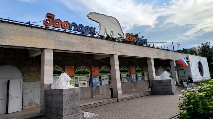Школьников бесплатно пустят в Ленинградский зоопарк 1 сентября
