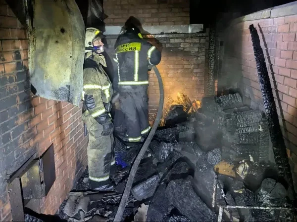 🔥 В Ростове загоревшиеся дрова привели к пожару в бане