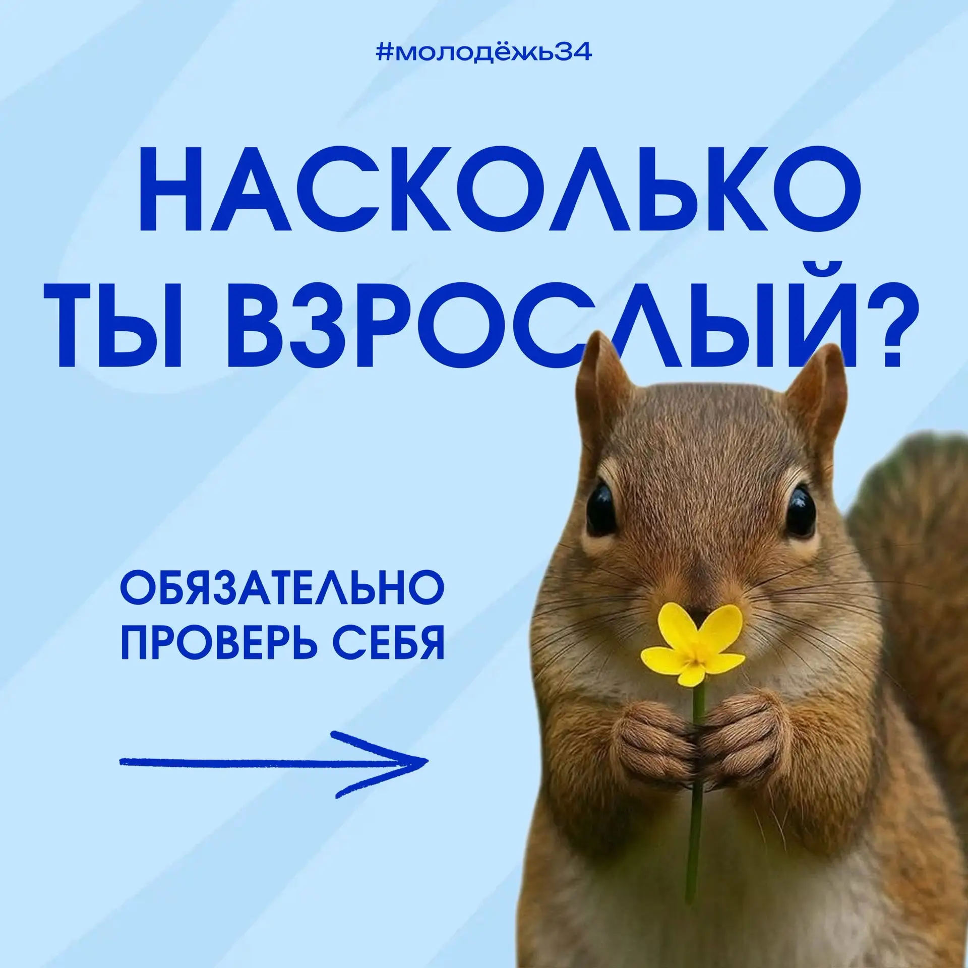 Давай честно, на сколько % ты взрослый? 🤭