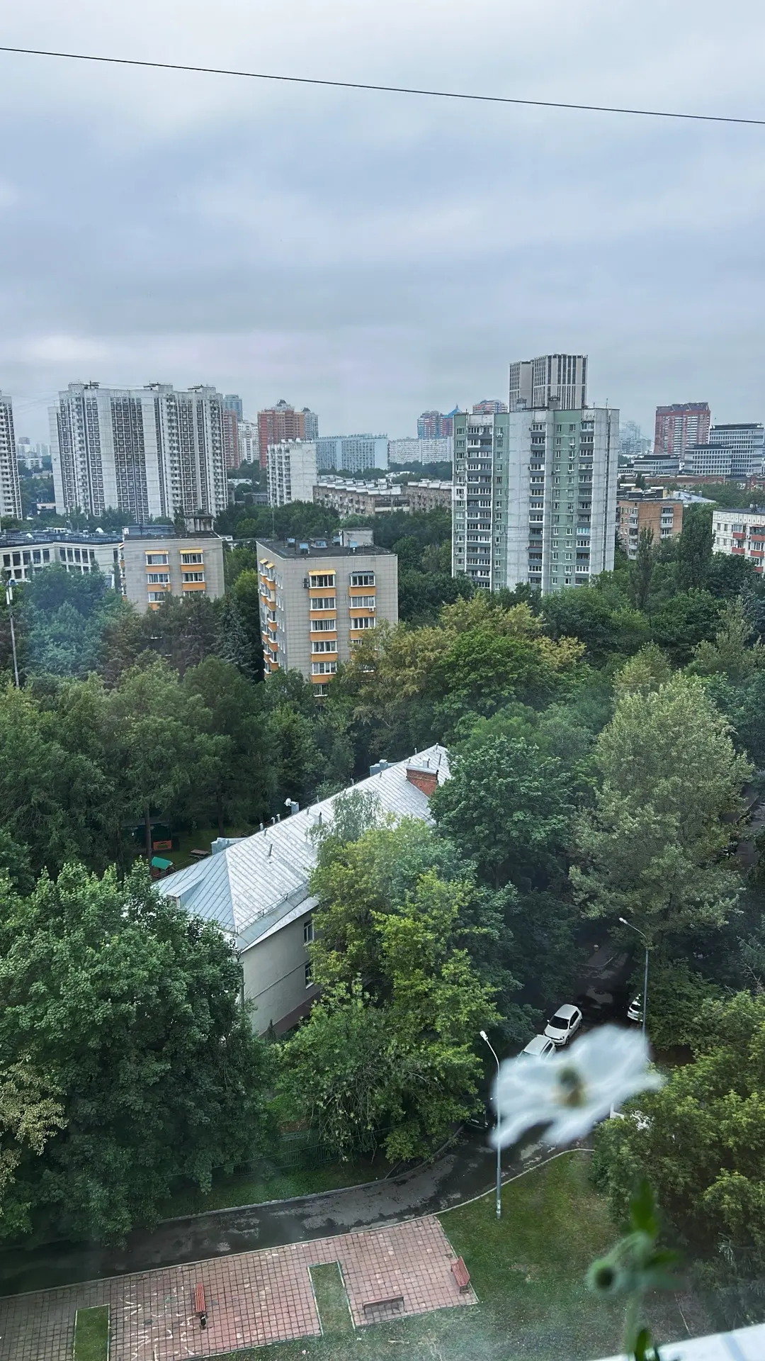 Есть тут у меня ранние пташки?)