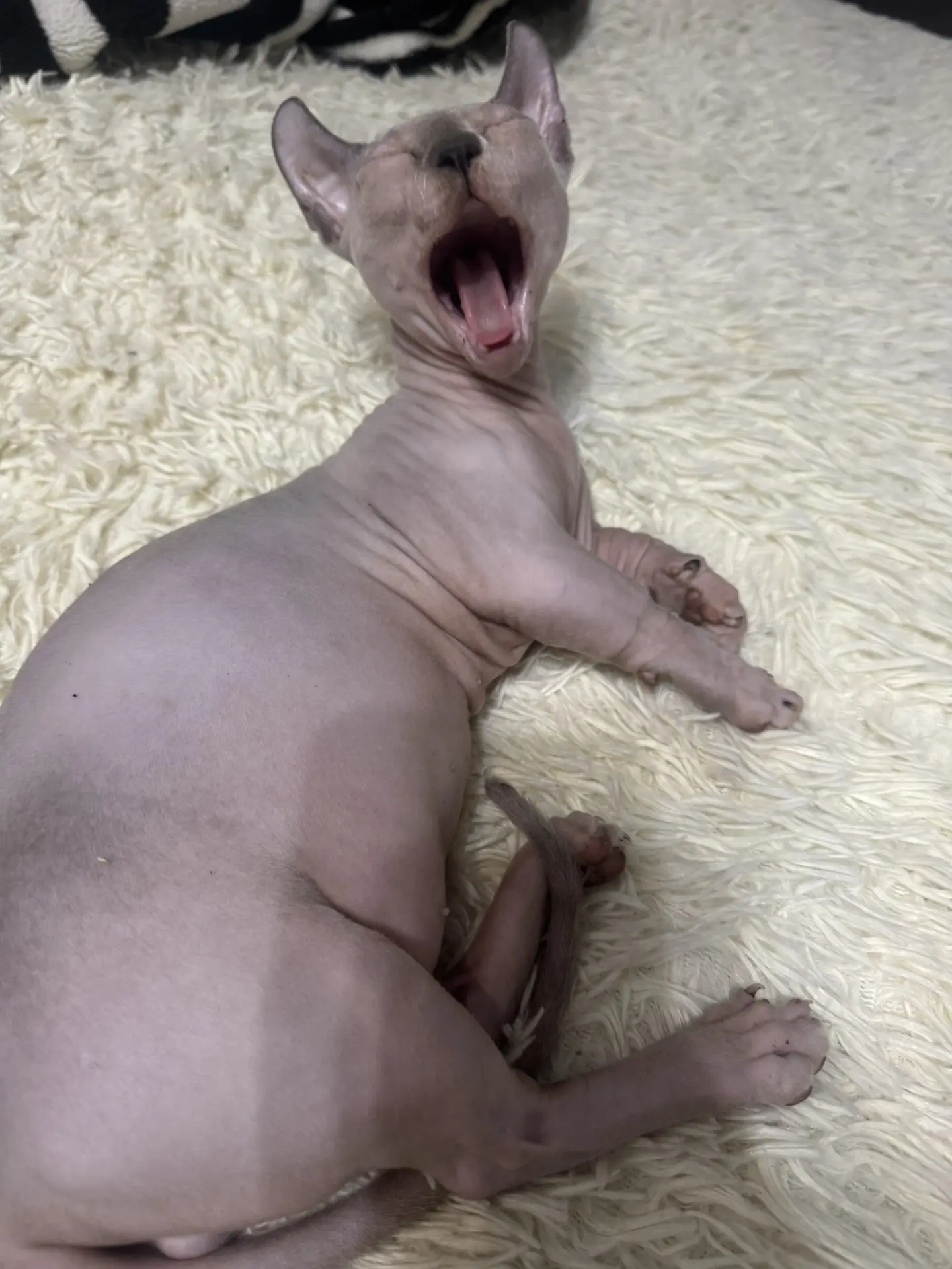 Меня не будить,всю ночь работал😂яЛюцифер🤣