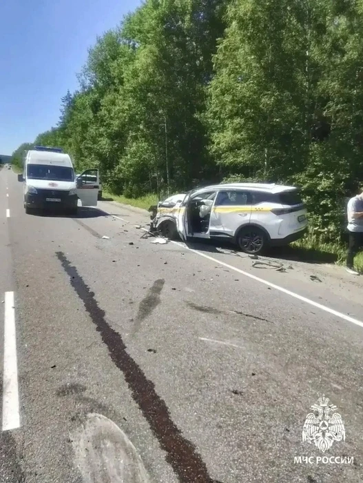 На дороге 41К-008 "Петергоф - Кейкино" в деревне Петровское Оржицкого СП произошло лобо...