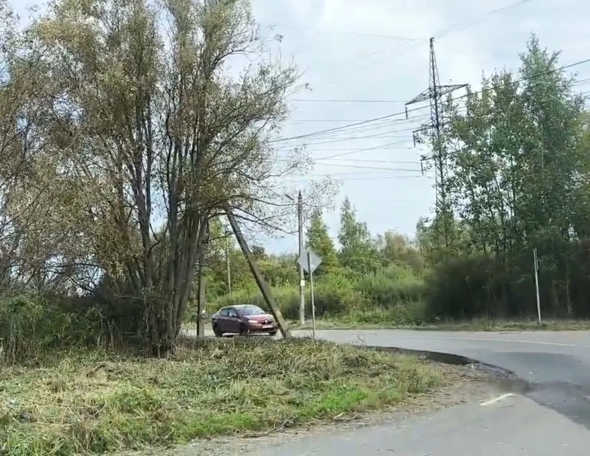 Добрый день. Перекресток 16 и 18 линий Творогово. Сегодня пришли рабочие и покосили обо...