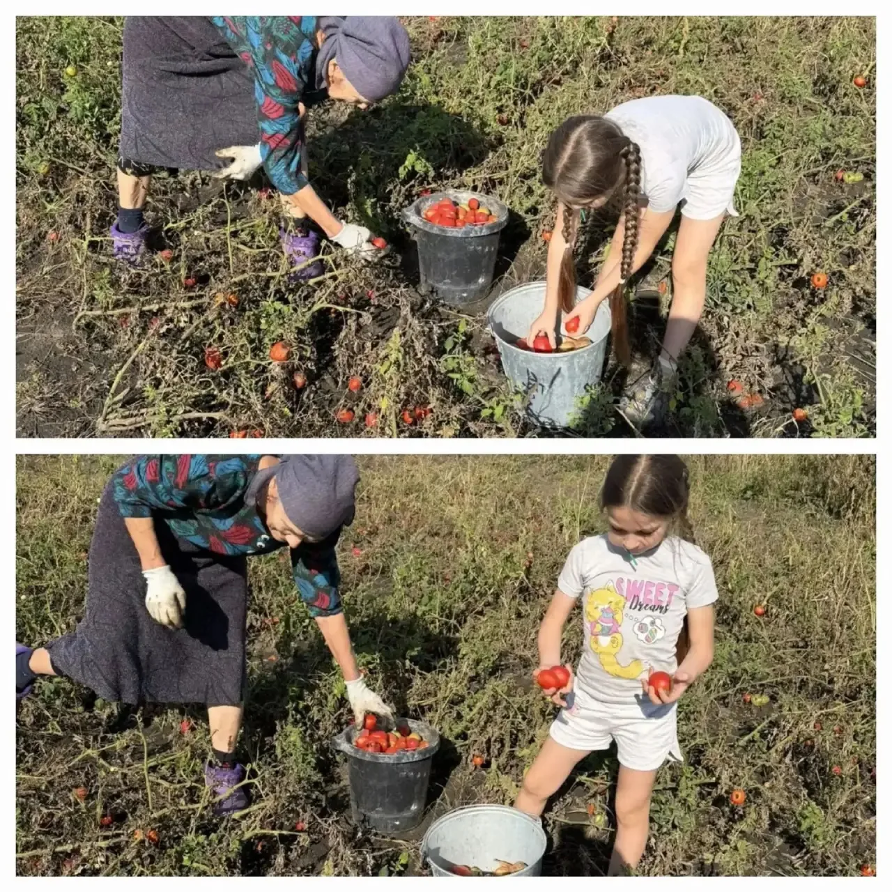 🎉 В нашей школе прошла замечательная школьная акция "Рука помощи", посвященная Дню пож...