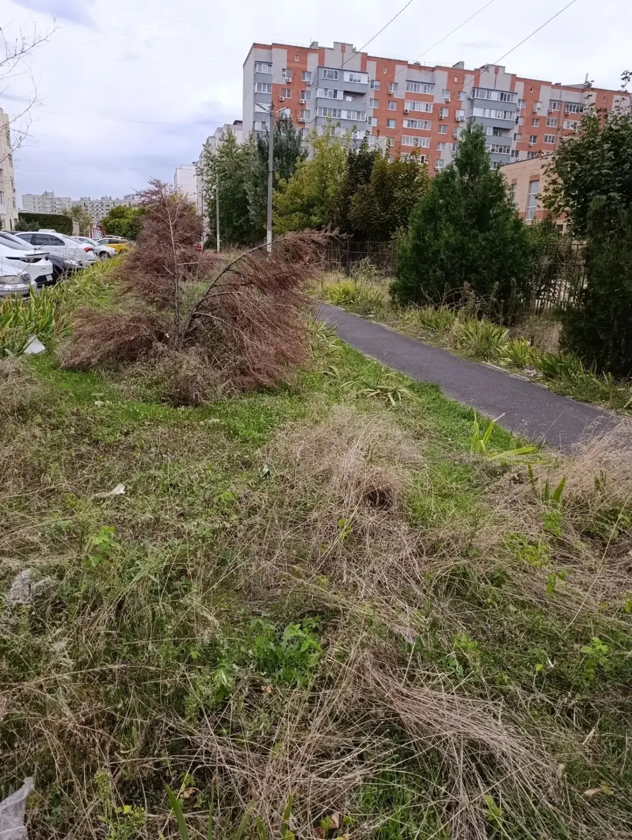 Возле детсада - чистота и порядок, а дальше - разруха и запустение. Так батайчане описы...
