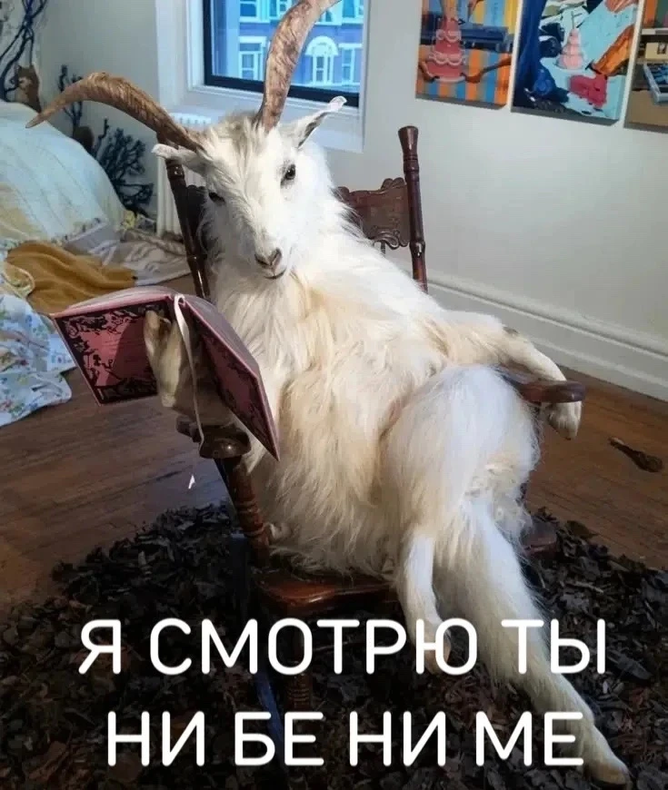 🙄 Когда на обеде пришёл коллега поболтать и посмеяться, а ты работаешь