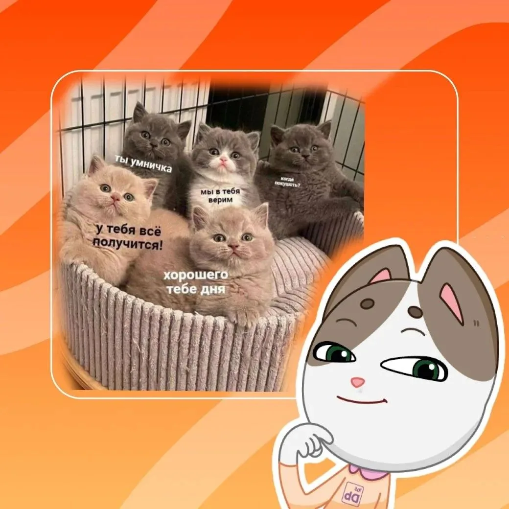 ✨Почти у цели!

Уже сегодня начинается основной период ЕГЭ. 

Желаем ребятам, которые пишут экзамен 
