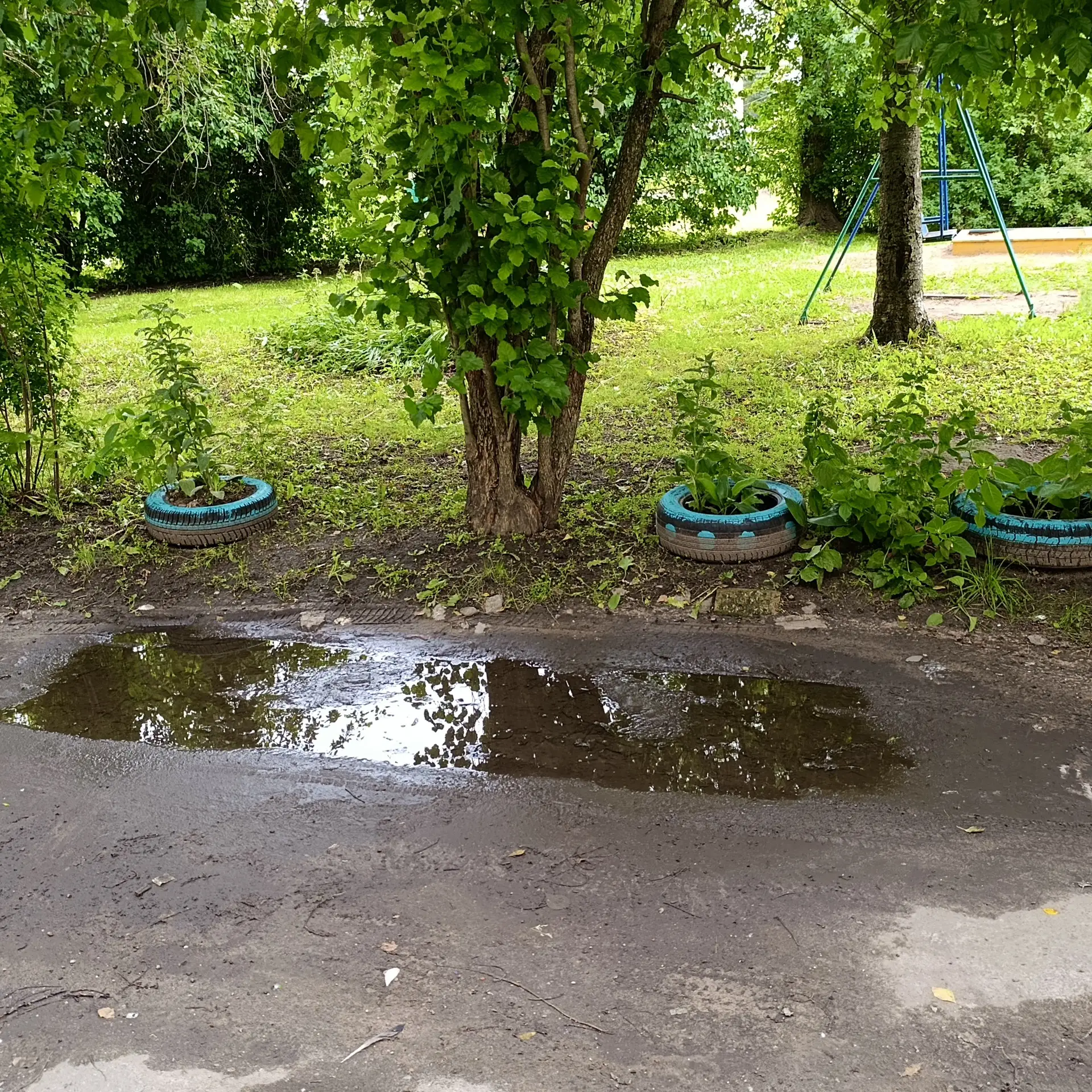 🏡 Муниципальные жилищные инспекторы проверили состояние дворов в городе

На текущей неделе специали