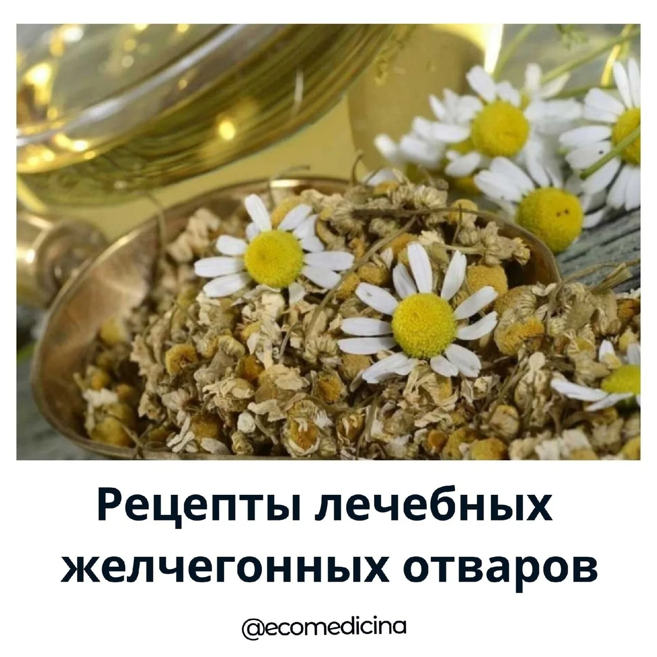 РЕЦЕПТЫ ЖЕЛЧЕГОННЫХ ОТВАРОВ