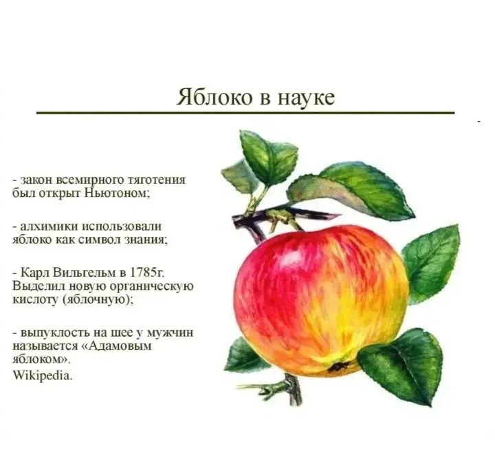 🍎 В этом году на Брянщине отмечается богатый урожай яблок.