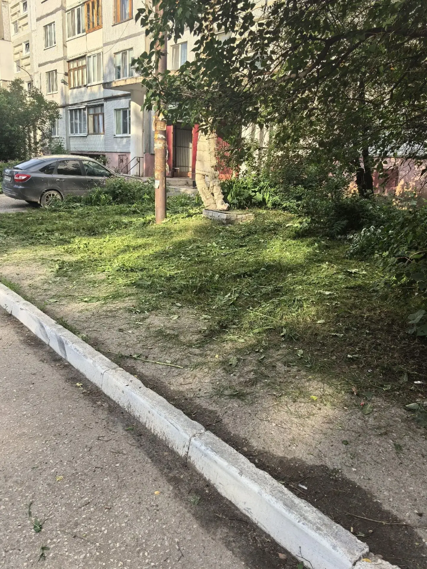 20.06.2026 Плановый покос травы по адресу: ул.Ленина, д.82