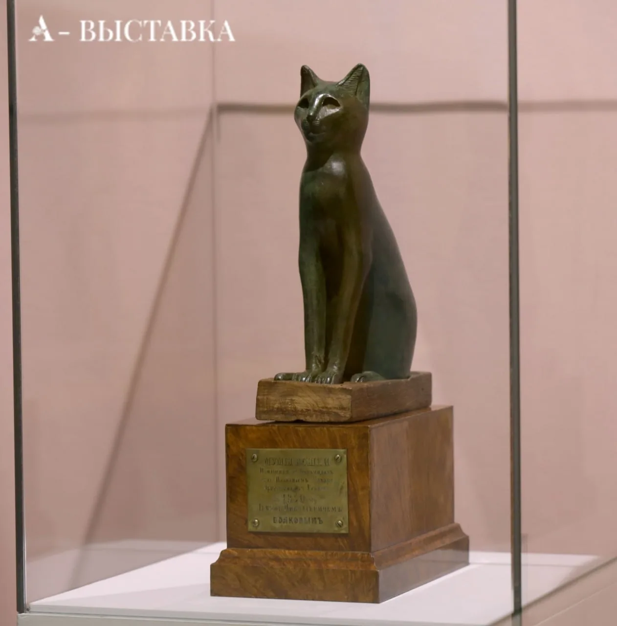 🐱 Кошка, которой больше 2000 лет. Приходите смотреть вживую 👀 

В Древнем Египте кошек боготворили