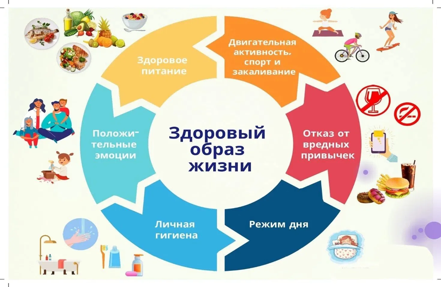 🚴‍♂ Здоровый образ жизни
