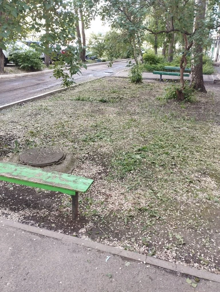 29.05.26 Плановый покос травы по адресу: ул.Запорожская, д.30
