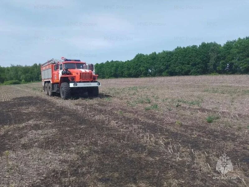 ❗️В Верховском районе подтвердились 2 термоточки, как горение сухой травы   За прошедшие сутки орлов