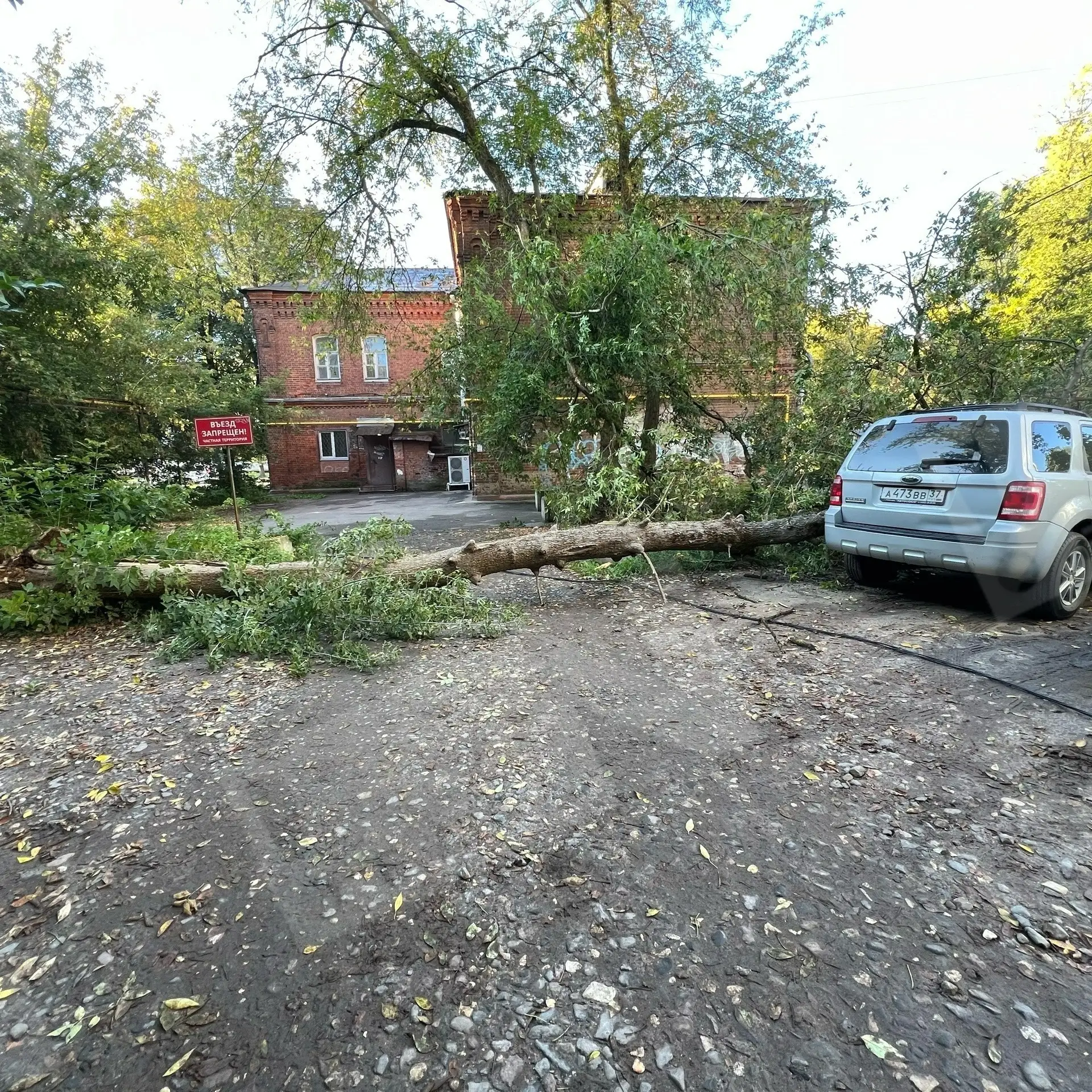 Суворова с утра. Кому то не повезло...