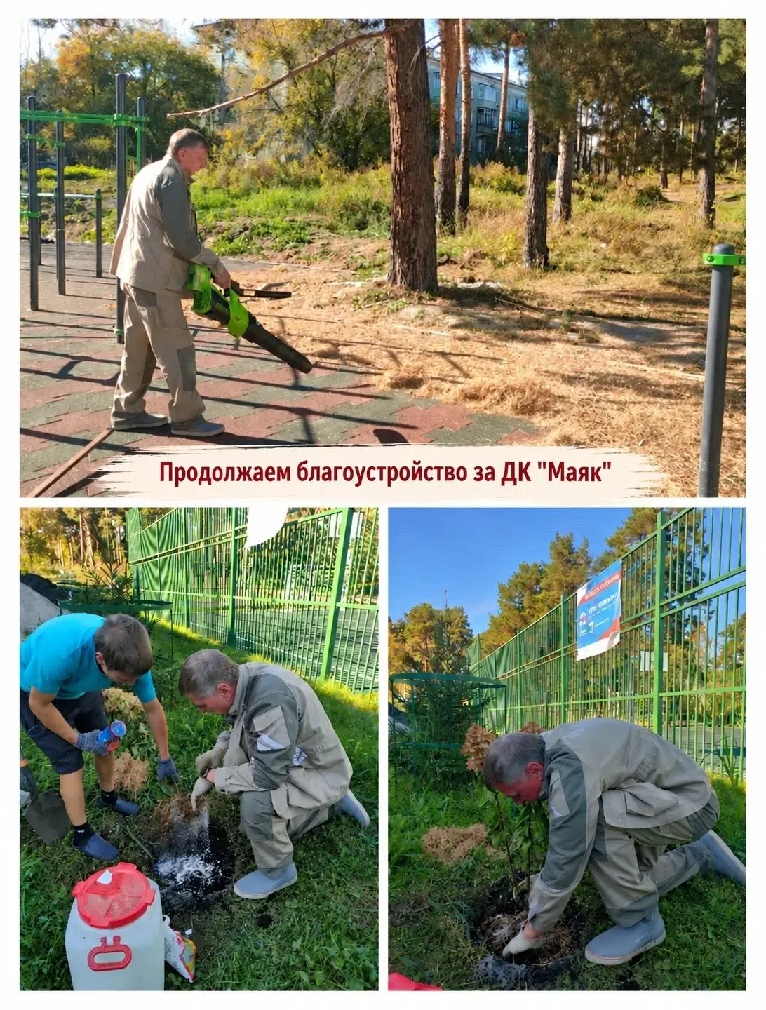 Осенняя забота о красоте города
