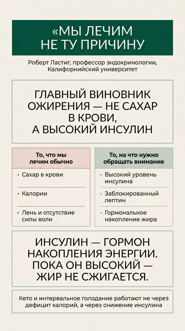 ​​Считаешь калории, ограничиваешь себя — и в какой-то момент всё равно застреваешь. Пла...